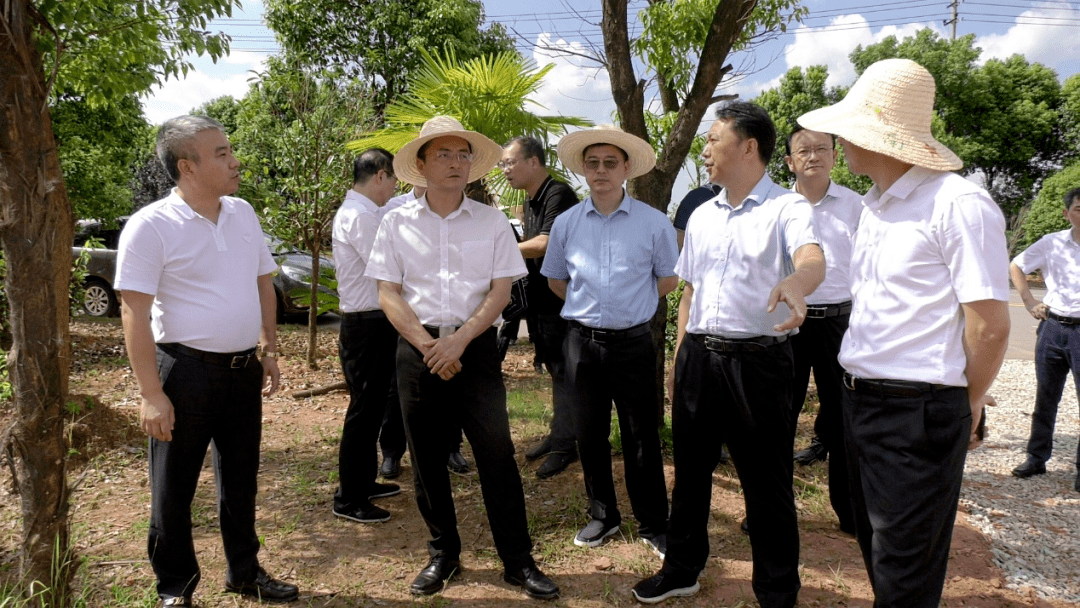 王强调研医疗器械产业项目发展情况