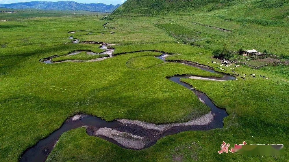 夏日岷县有一片草原叫狼渡滩_岷州