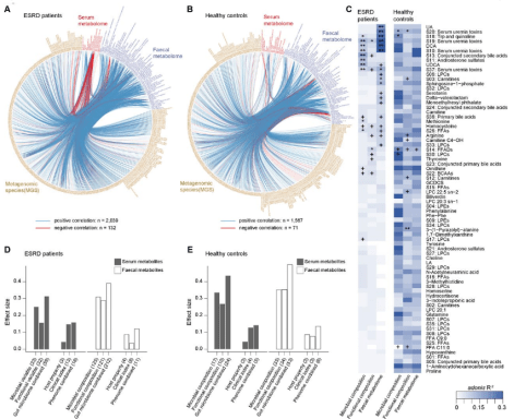 肠道|[文献分享]宏基因组+代谢组解析肠道菌群影响人类和啮齿动物的肾衰竭的作用机制