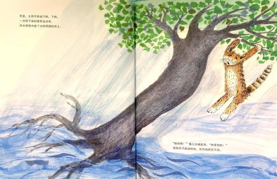 一起听书少图在线第528期大树上的朋友