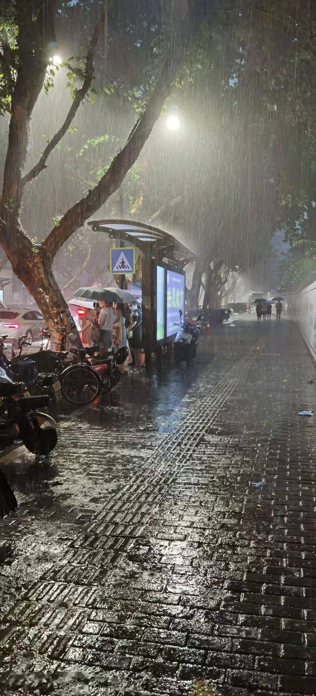 纽约今天天气视频预报_萧山今天天气预报_青岛今天有没有雨天气预报