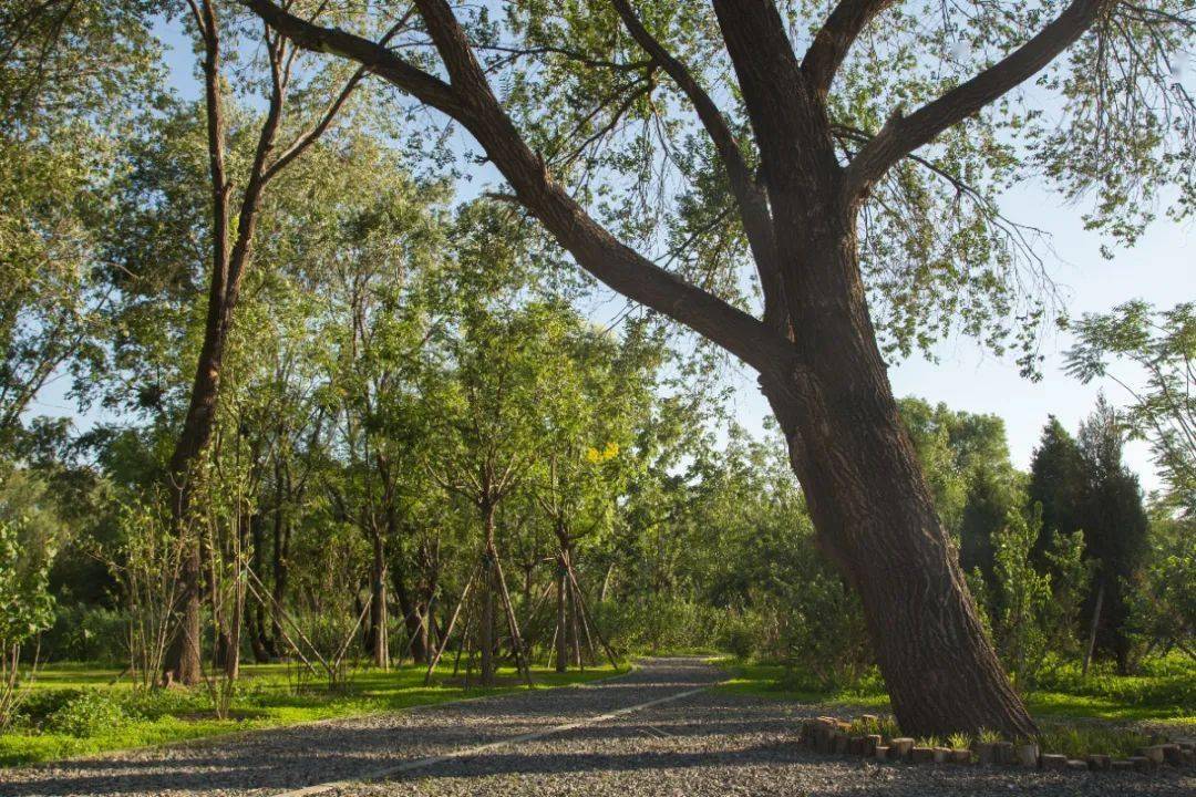 夏日,来这座森林公园——功德寺公园寻一片清凉!