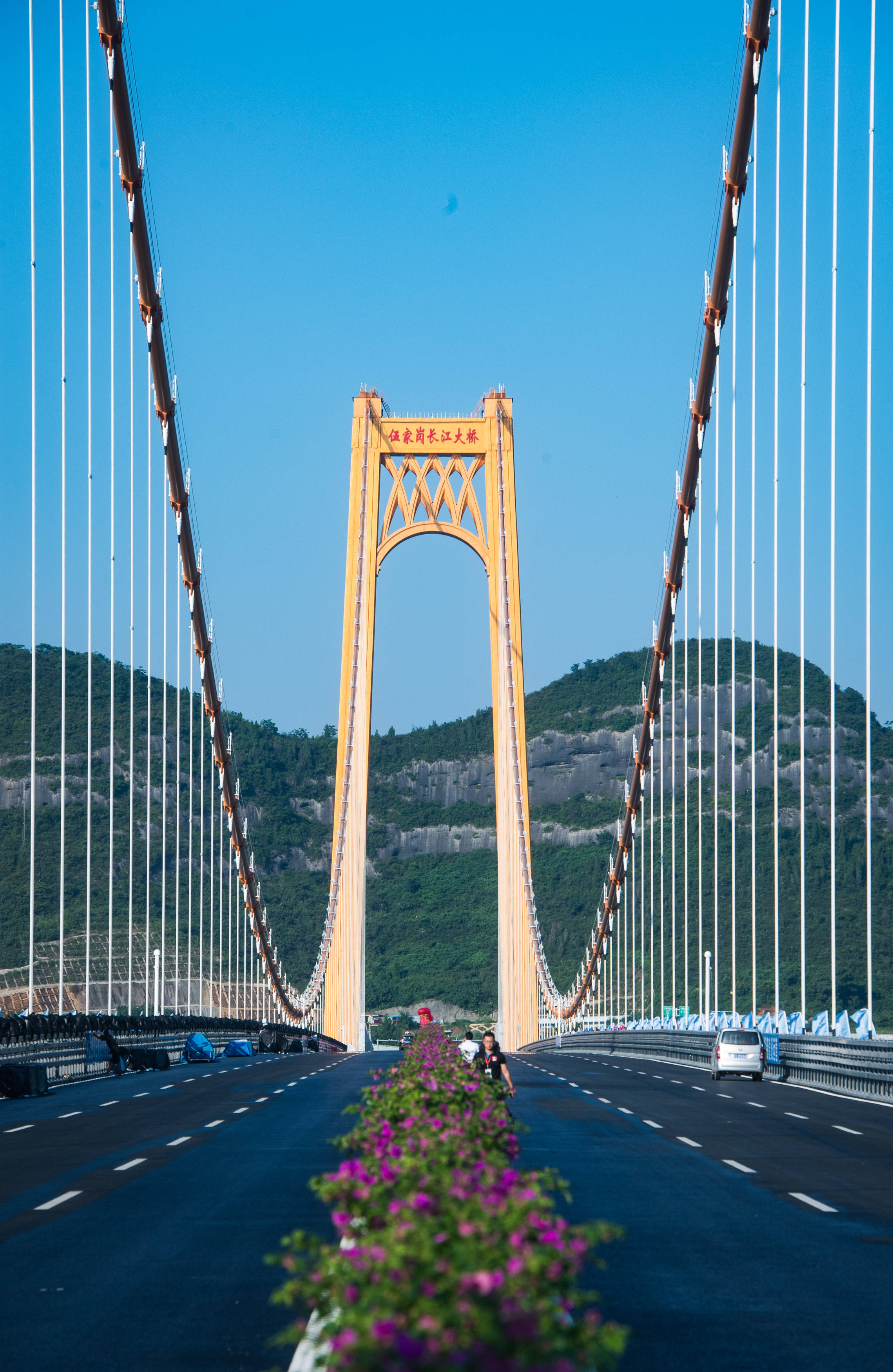 湖北宜昌:伍家岗长江大桥建成试通车