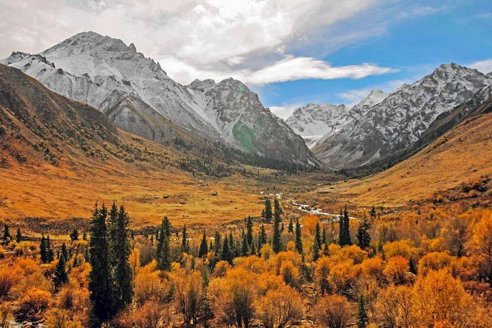 8f9cca81e04c4ba4b2ed381c92298787.jpeg