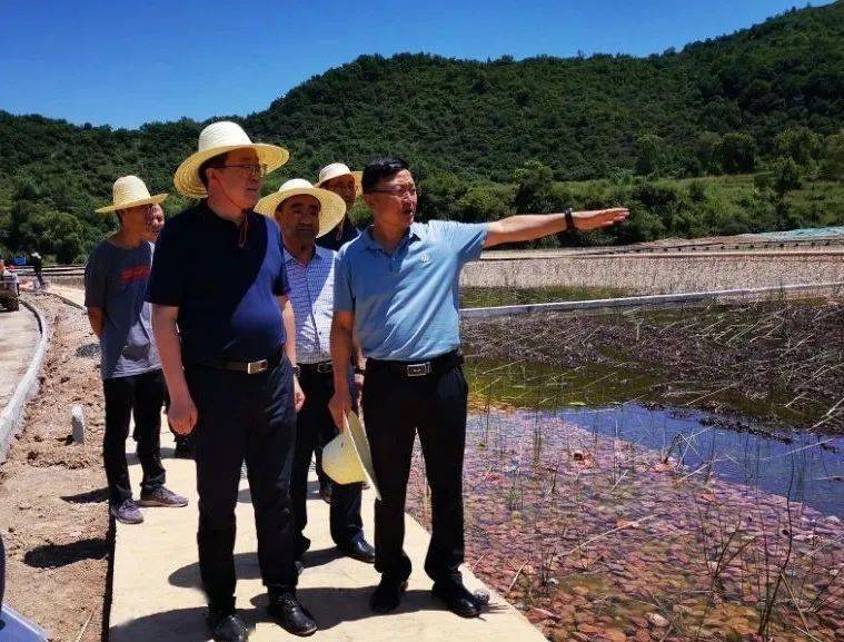 张晓刚一行来到华亭市中药材交易市场 ,山寨河流域万亩药材基地,杂交