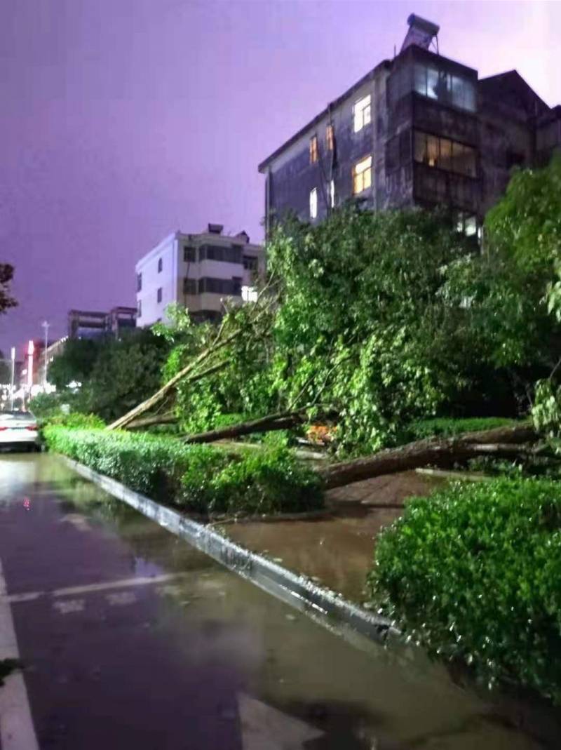 7月31日19-22时,鹤壁市出现雷阵雨天气,并伴有雷暴大风,短时强降雨等