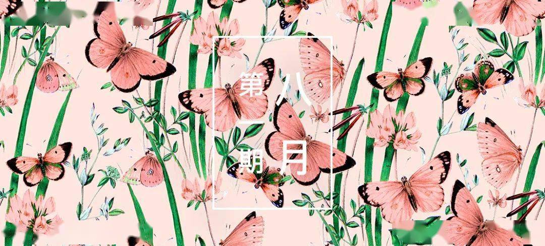 or|花型推荐 |8月第一期优秀花型看这里！