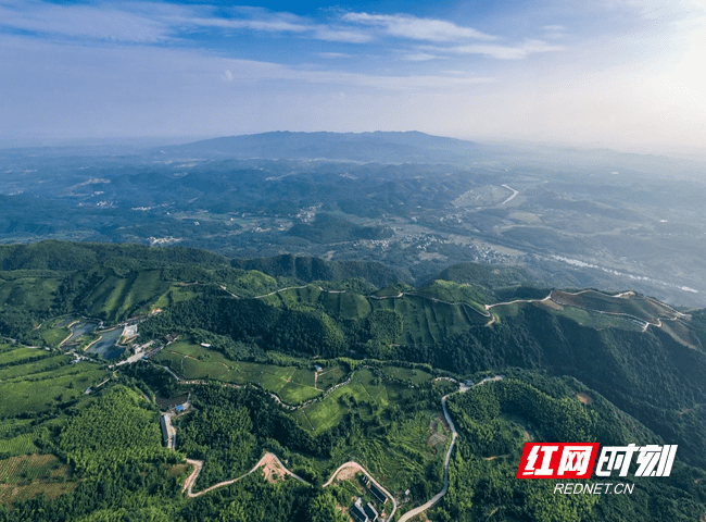 钟水|湖南蓝山：百叠岭上风光美（图）