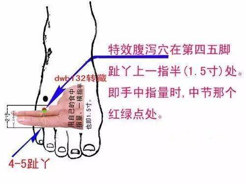 一个治疗腹泻及前列腺的特效新穴位_食物