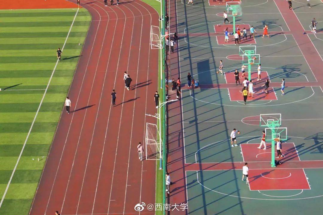 还全是硕博生!_体育大学