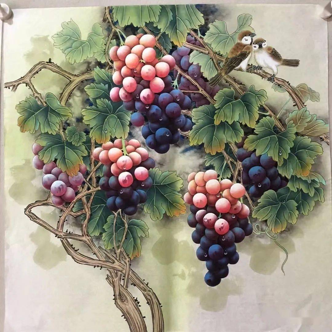 画家王振兴工笔葡萄张数不多绝对经典
