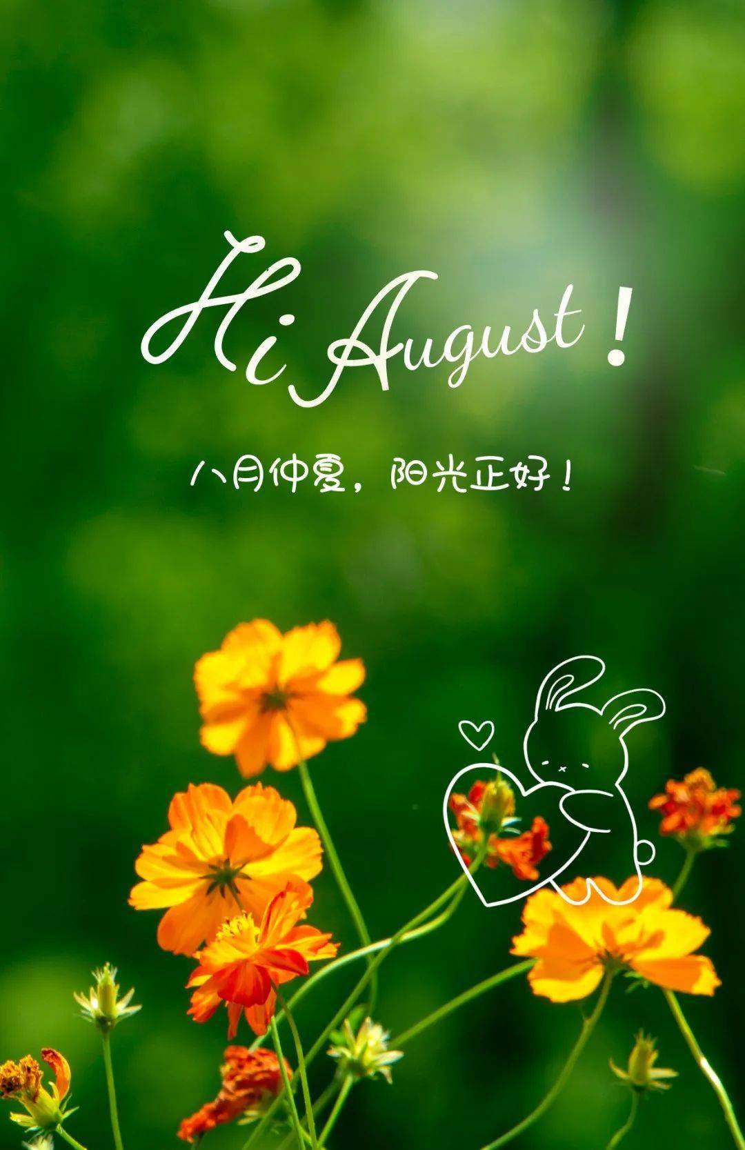 8月1日建军节早安:八月你好!