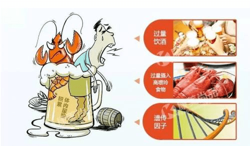 体重|健康科普|痛风让你痛“疯”了吗?