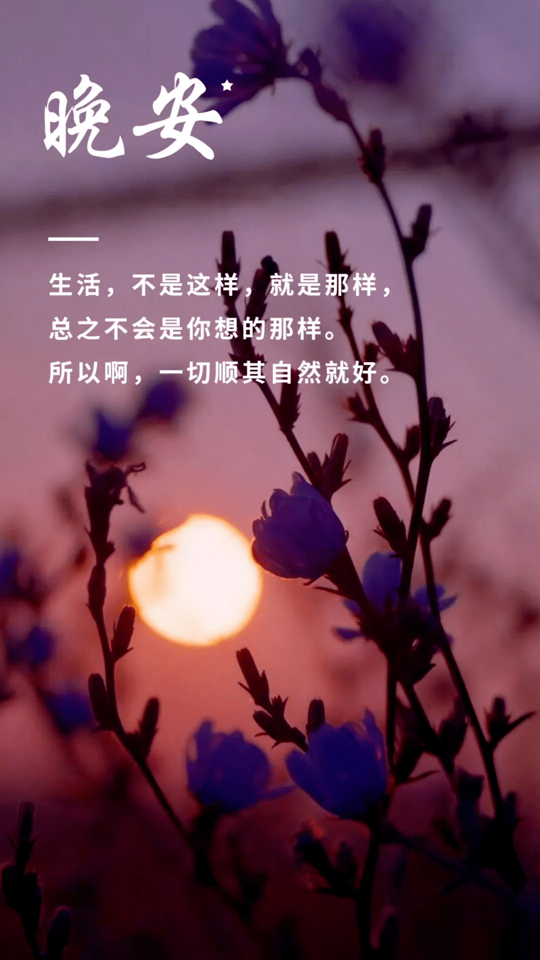 每日一句晚安心语