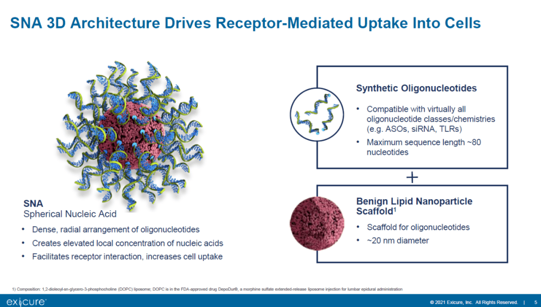 速递10亿美元助力球形核酸治疗神经退行性疾病益普生达成合作