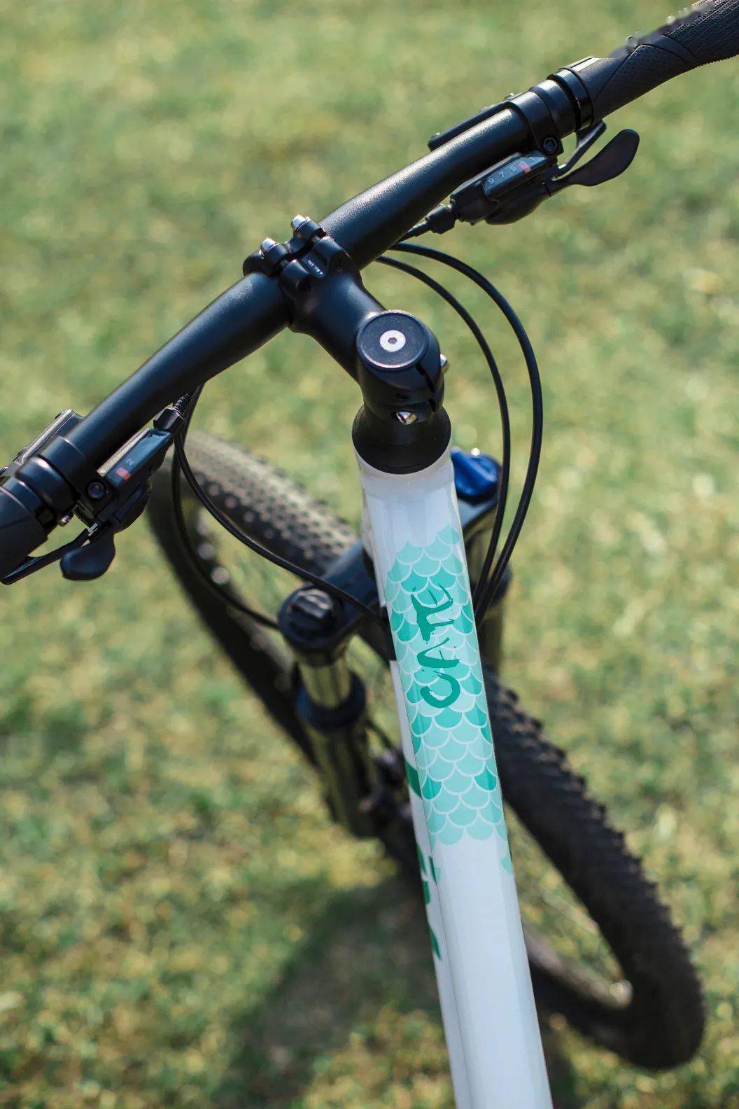 上新了liv大美腾冲61百草坝秋水伊人全新cate2雪山白