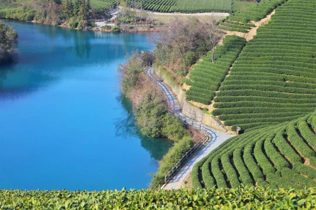 疫情反复切勿放松不出省市的日子我来龙坞过夏天