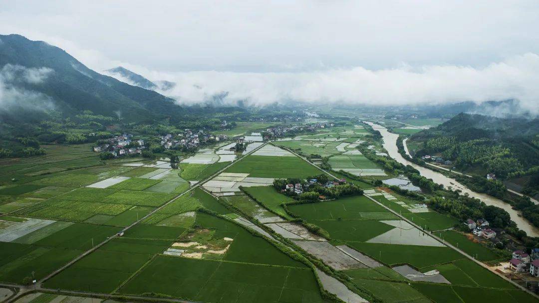 闽北美景|浦城忠信镇:雨后清晨 醉美田野 一幅绿色生态画卷缓缓展开