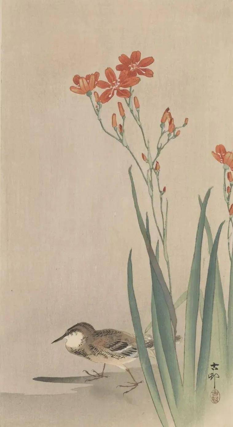 日本著名花鸟画家图片