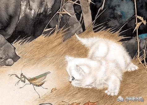画猫仔,他是专家,没意见吧_米春茂