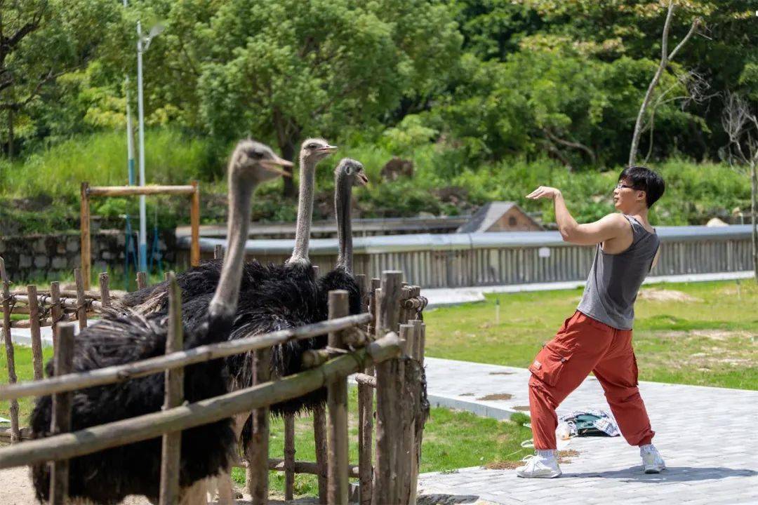 閩粵第一城0648搶大門票萌寵樂園看呆萌動物打卡網紅景點