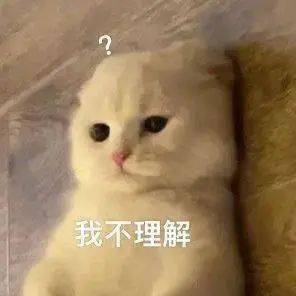 美国|《长津湖》30秒预告;新《灰姑娘》电影正式预告