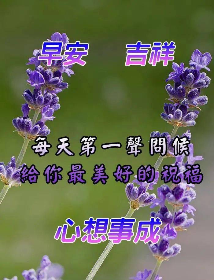 5b79d48a3245432c99fa2eb70e51b8a4.jpeg