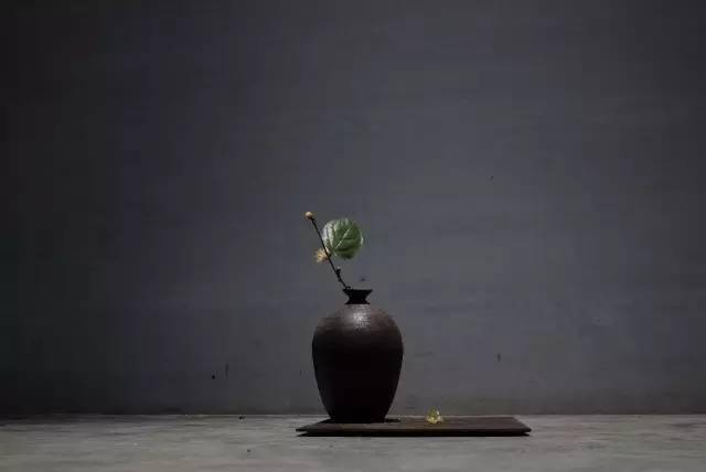 花艺 茶道 佛系 插花 抖落一身尘俗 花和