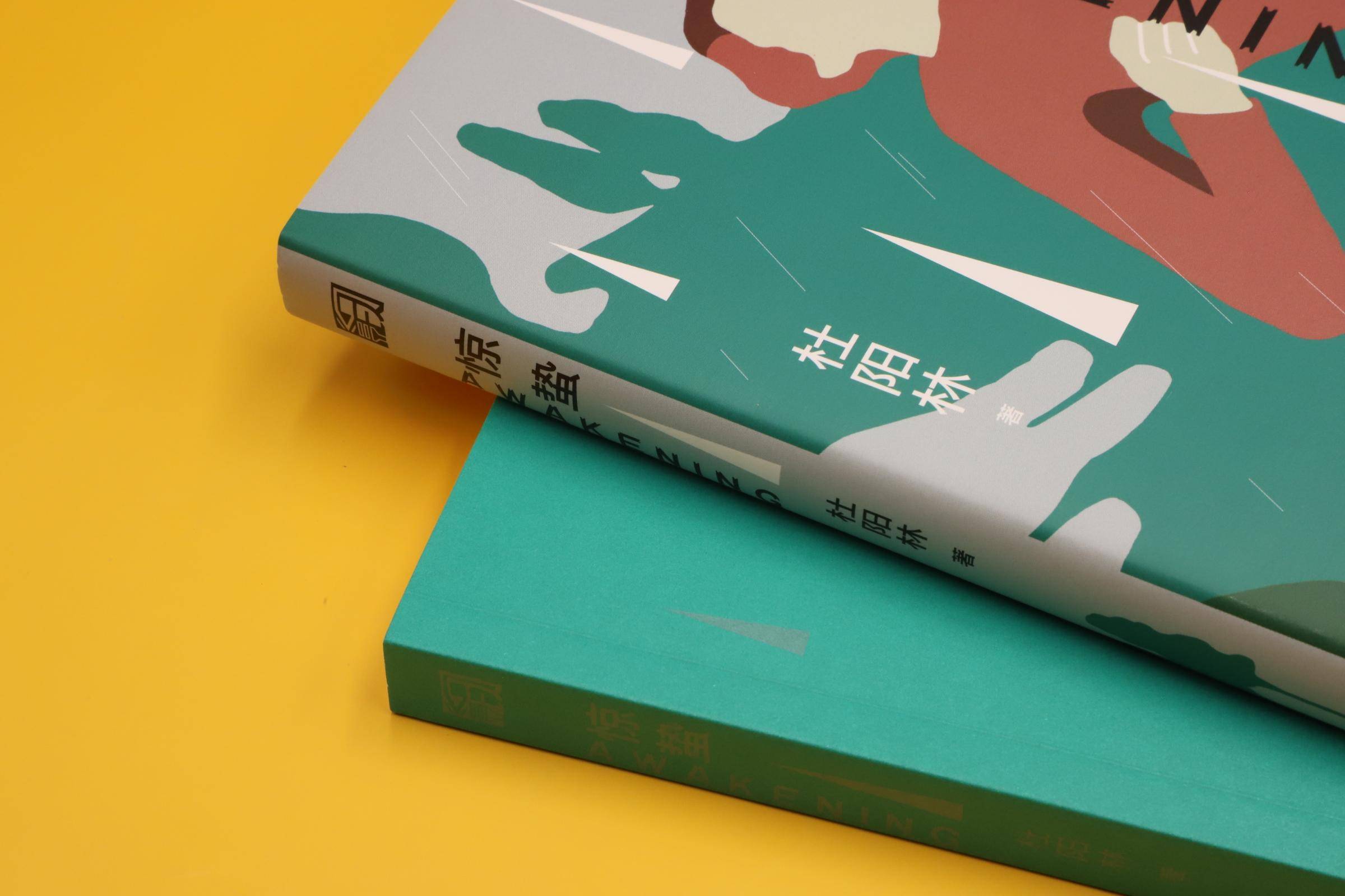 文学|乡村少年的苦难经历与惊蛰之醒：杜阳林新作《惊蛰》出版