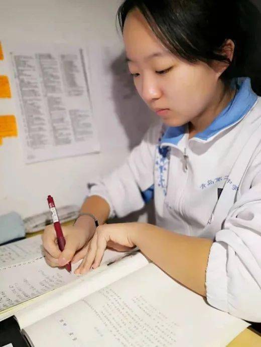 二实验61形象大使以棋会友用棋子点缀梦想2019级15班刘奕然