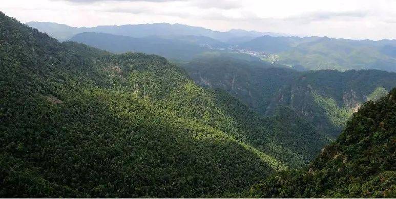 乡村旅游到庐江歌曲发布快来聆听一起走进诗画庐江