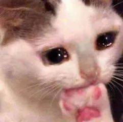 杨紫肖|《长津湖》延期上映;杨紫肖战《余生请多指教》定档