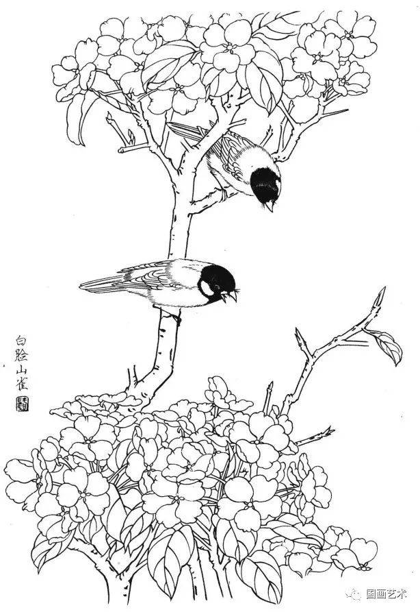 花鸟鱼虫白描画谱分享