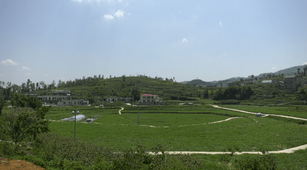 金沙县沙土镇双星社区星连心走向乡村振兴