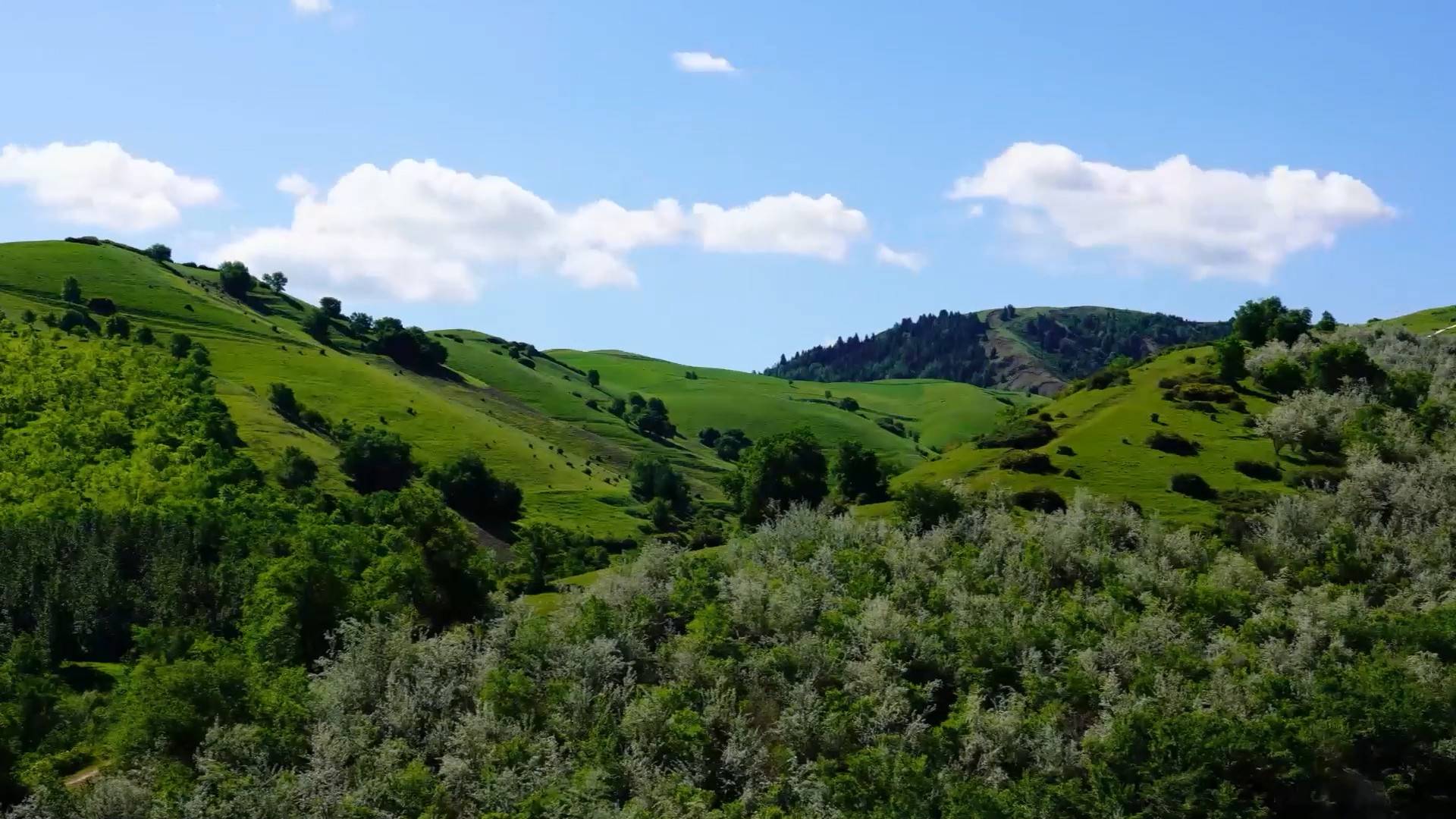 这个村里来了批“艺术家”