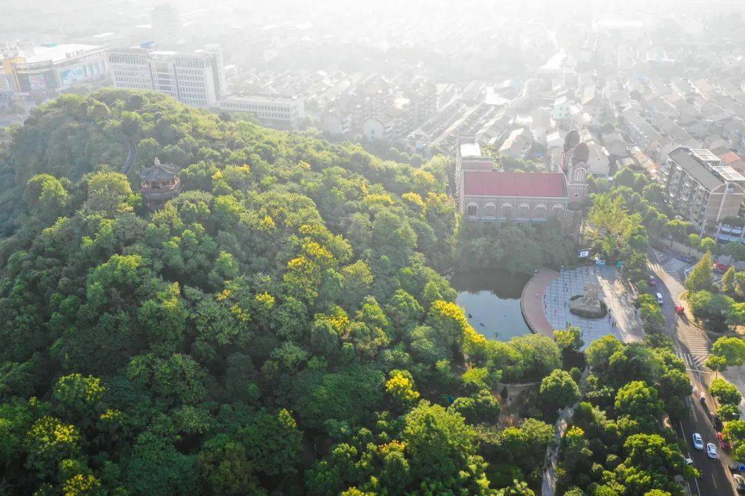 教场山公园想让他火一次