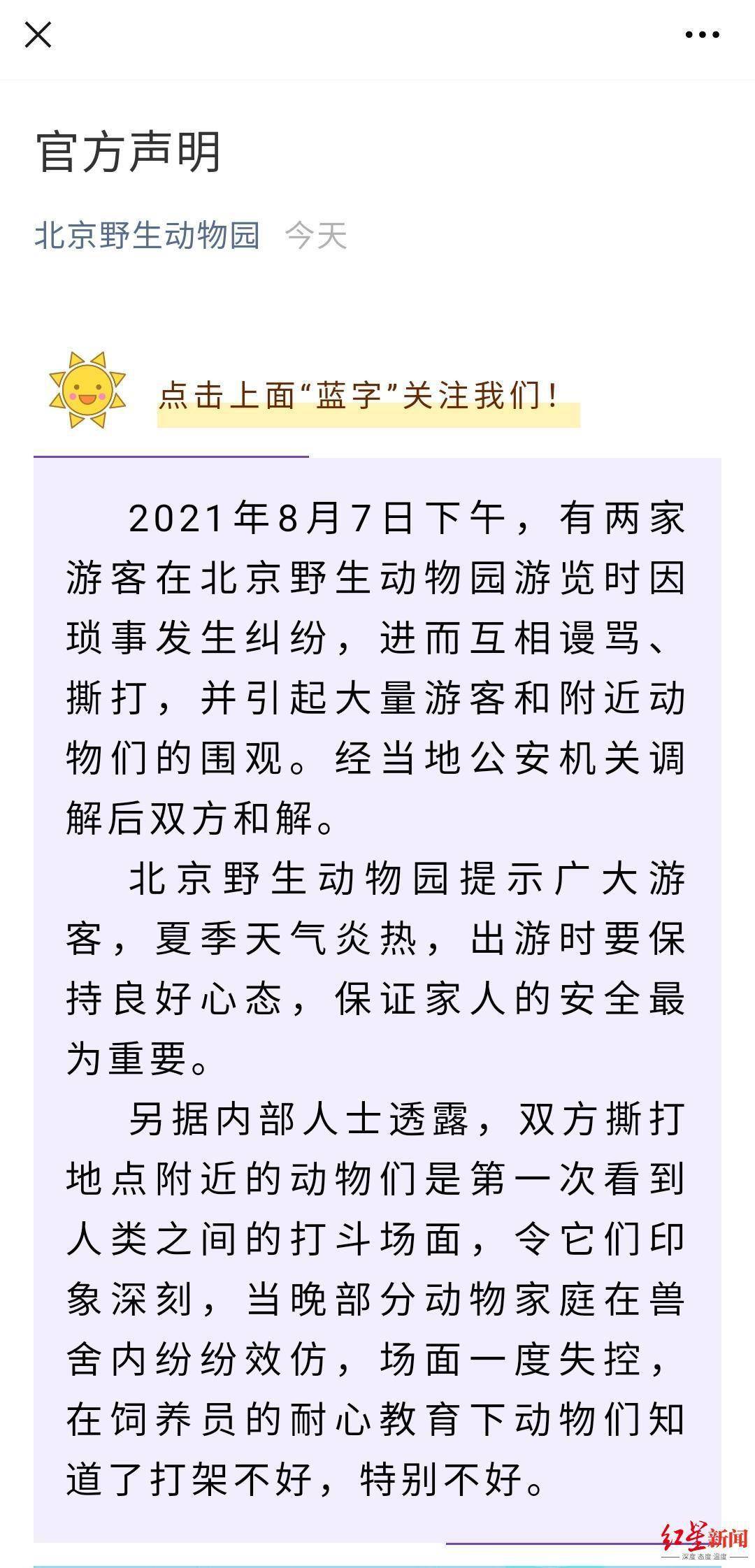 鹦鹉的简谱_鹦鹉卡通图片(3)