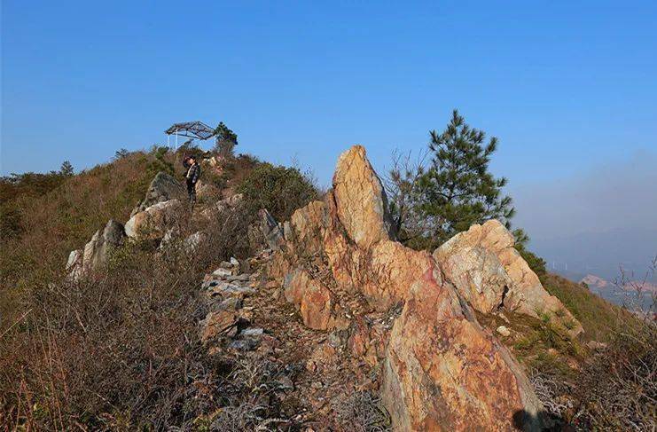【向山而行】丽质藤山,养在深闺人未识_峡谷