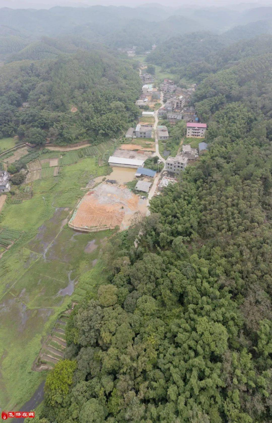 地址:水鸣镇新和村竹根坪屯博白飞扬在线新媒体出品