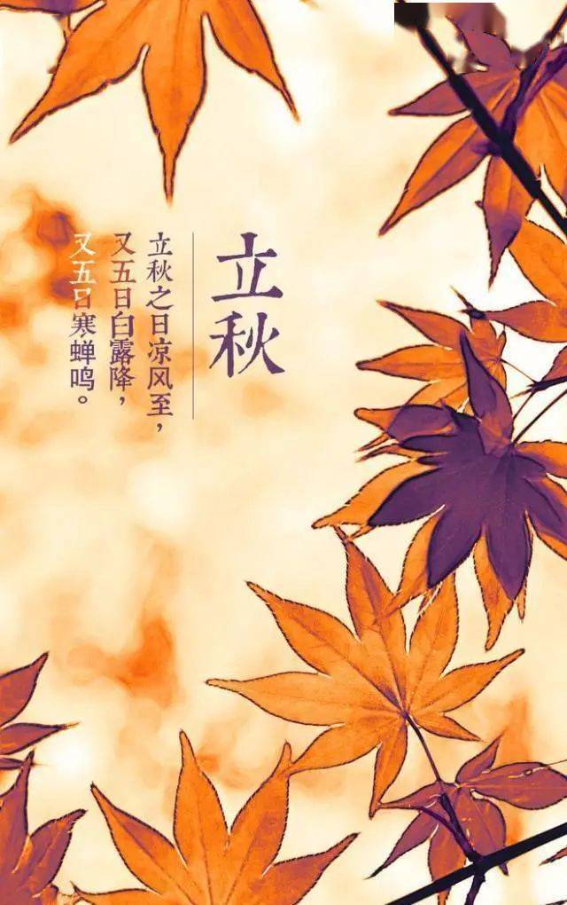 二十四节气小主播立秋