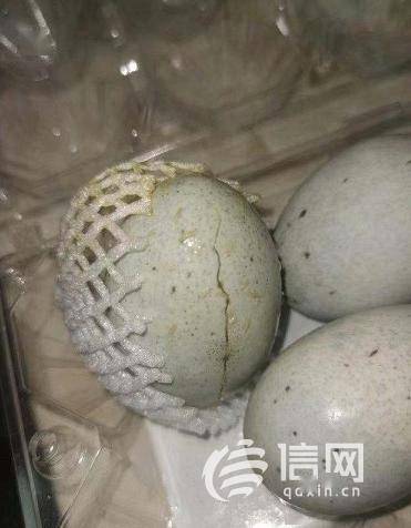 松花蛋裂缝生蛆 海尚海超市已对顾客进行赔偿