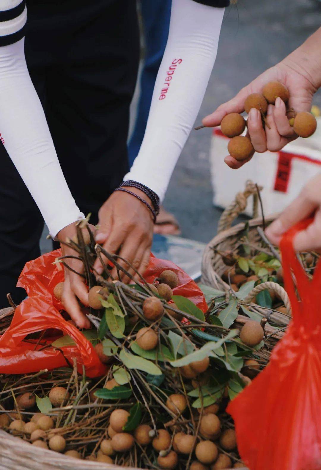 一齐去罗定素龙趁圩啰!