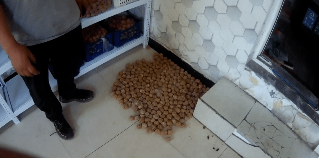 文玩核桃排行_十大文玩核桃排行榜:四座楼上榜,它最接近老款狮子头