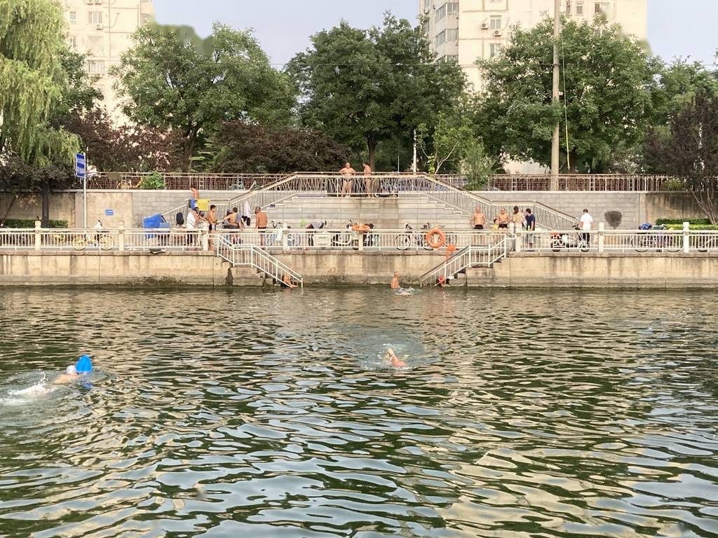 改造后的亮马河岸绿水清,竟成了新的野泳"据点"