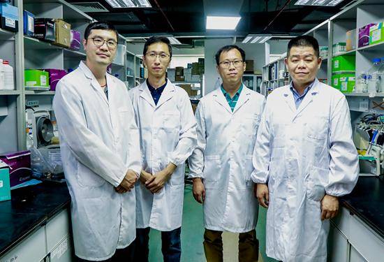 导弹|第一作者 中国科学家提出纳米药物研发新思路 “纳米分子导弹”来了 癌