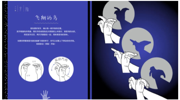 动物|大人从不这样做 | 童书新品