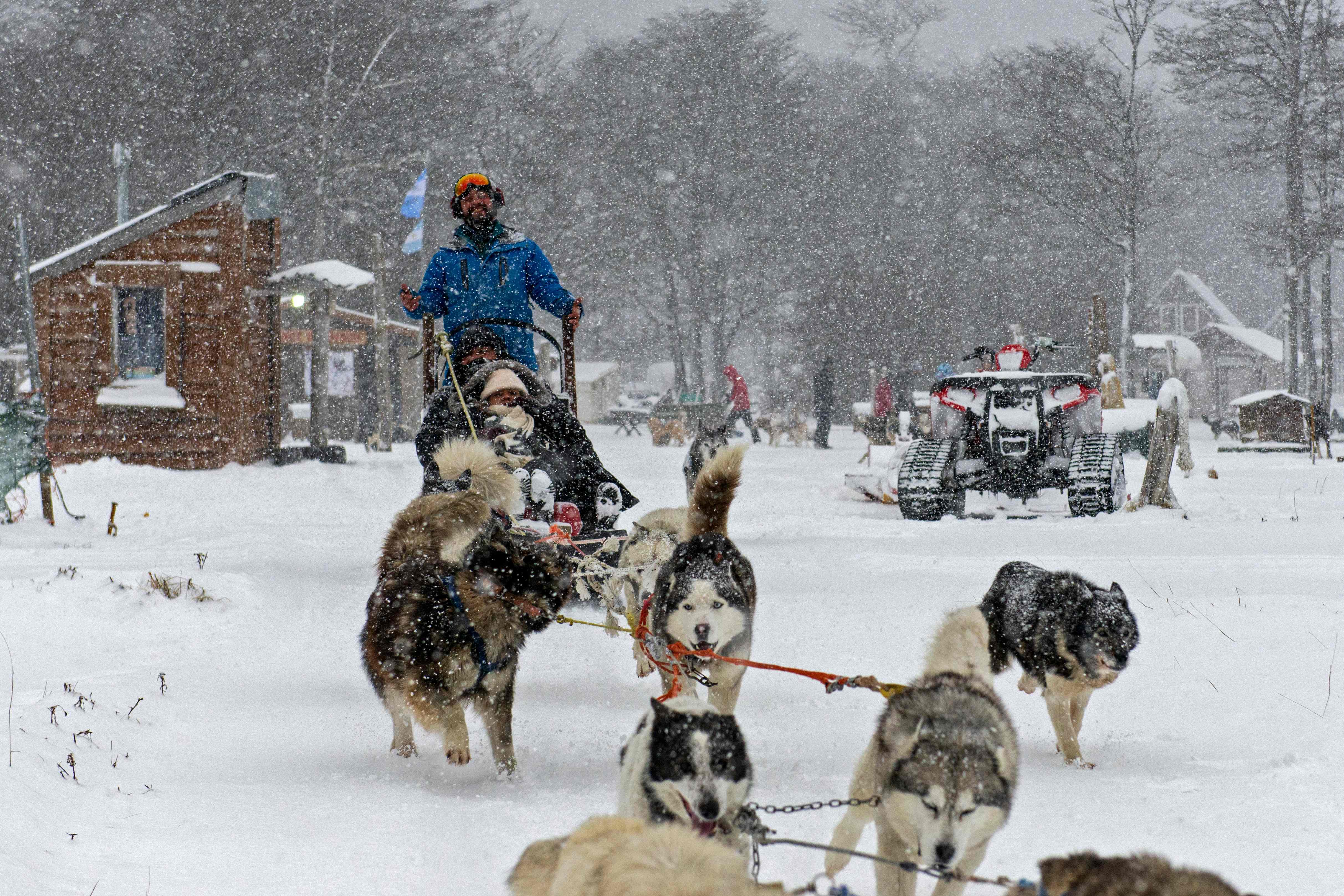 体验狗拉雪橇