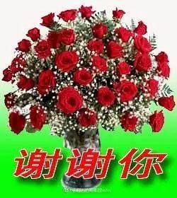 7745b7cead454ffebec15bc676ffcbb1.jpeg