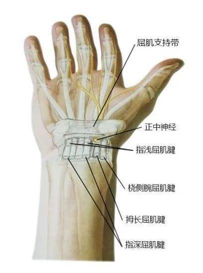 腕管综合征,你中招过吗?