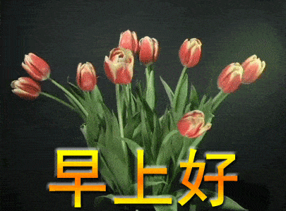 405_299gif 动态图 动图